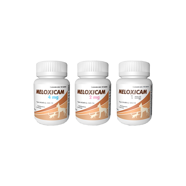 MELOXICAM ALPHACHEM