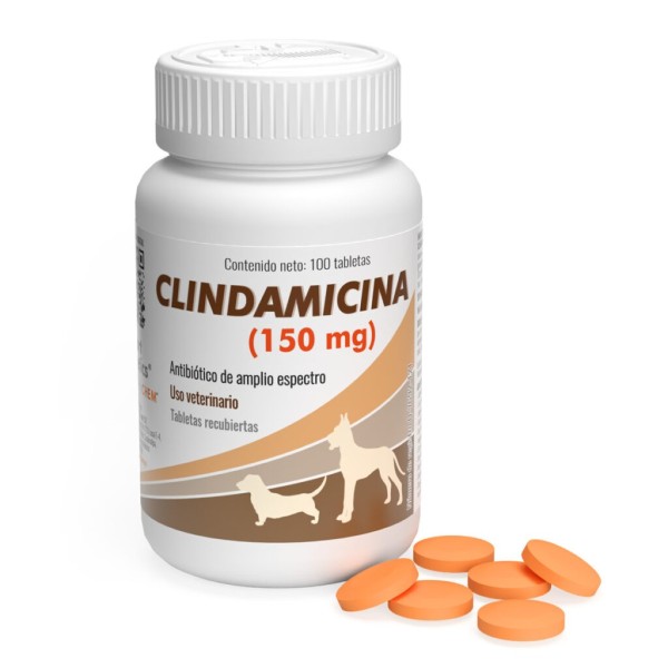 CLINDAMICINA ALPHACHEM