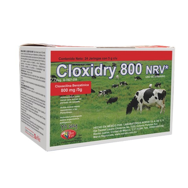 CLOXIDRY 800