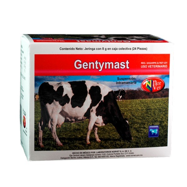 GENTYMAST 24 x 8 gr.