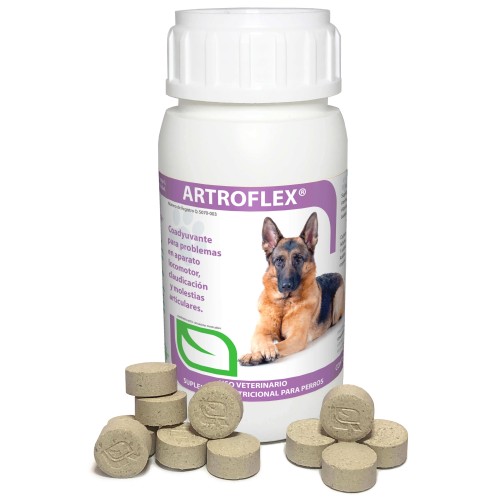 ARTROFLEX