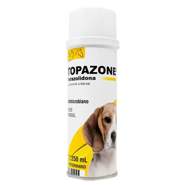 PISA TOPAZONE