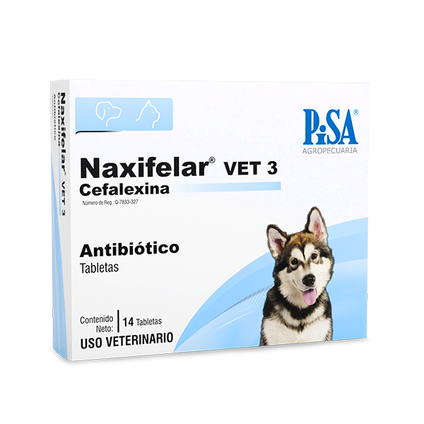 PISA NAXIFELAR VET