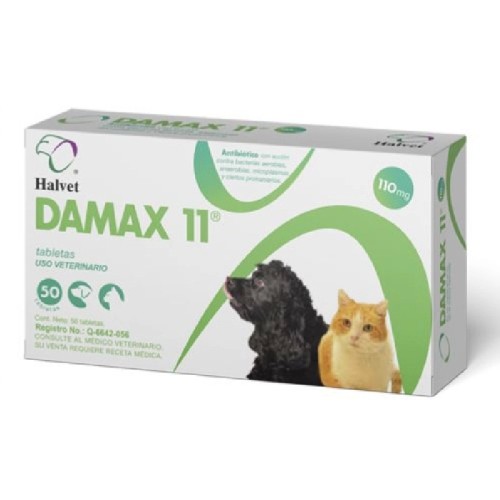 DAMAX 11
