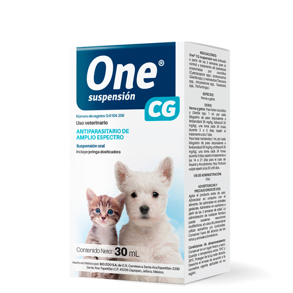 ONE SUSPENSION CG