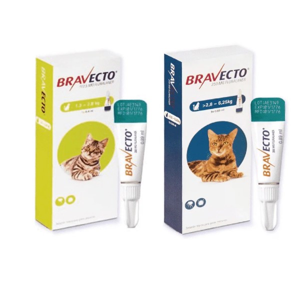BRAVECTO PLUS  CAT PIPETA