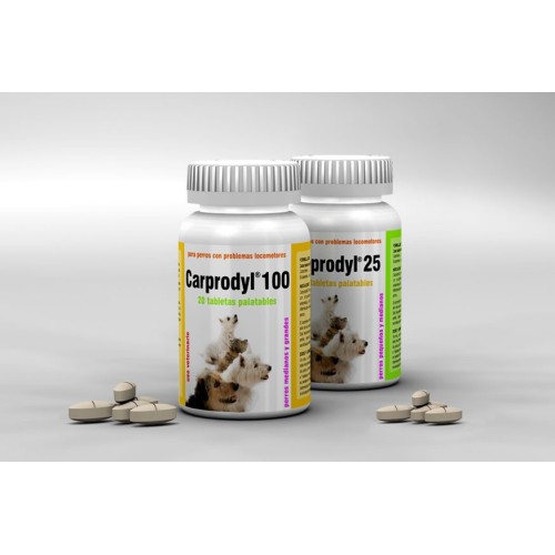 CARPRODYL