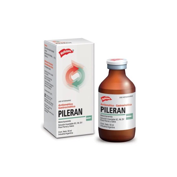 PILERAN INYECTABLE