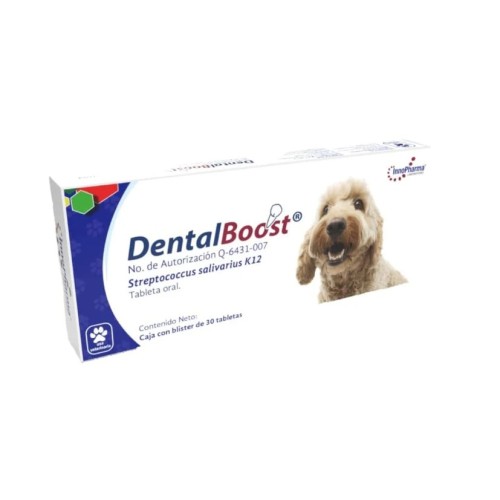 Dental Boost