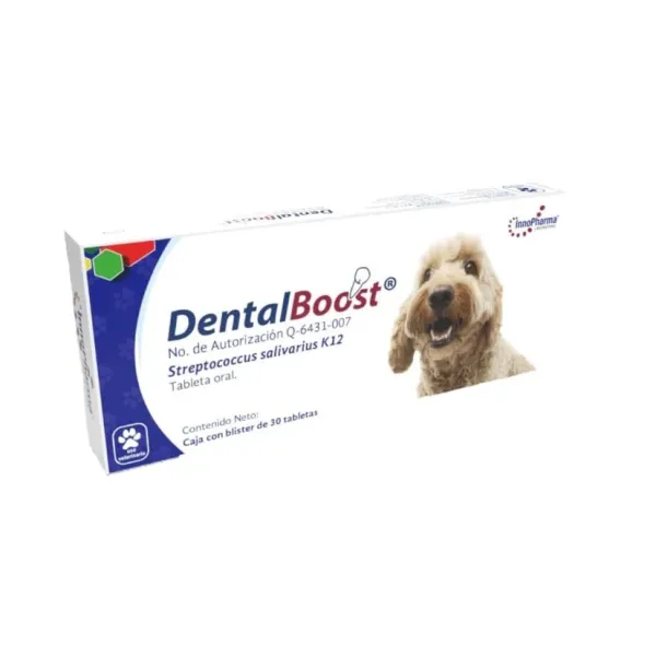 DENTAL BOOST