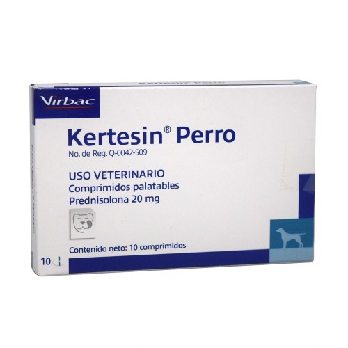 KERTESIN PERRO