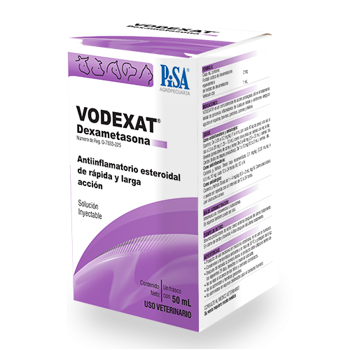 PISA VODEXAT