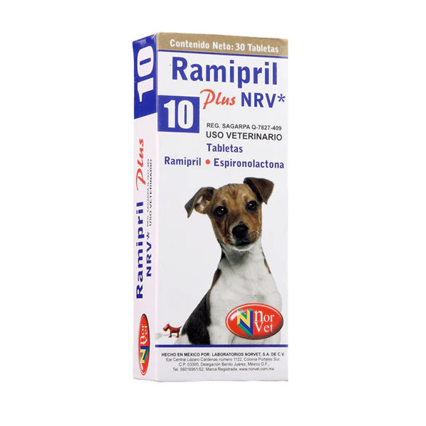 RAMIPRIL PLUS 10