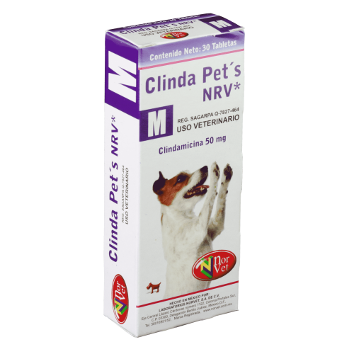 CLINDA PETS M