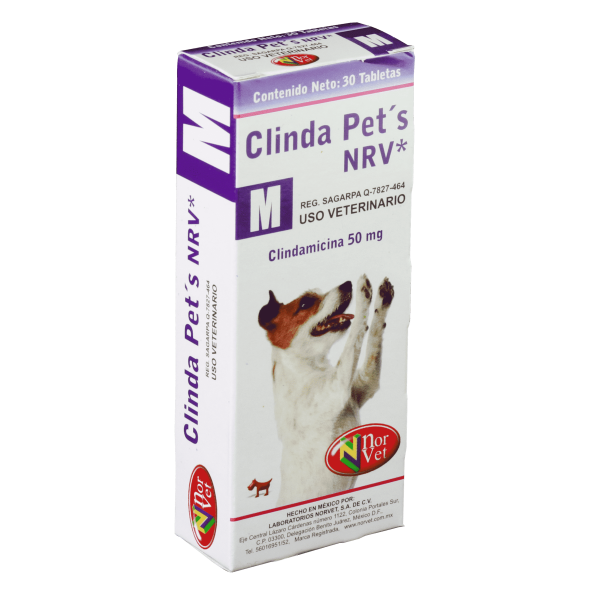 CLINDA PETS M