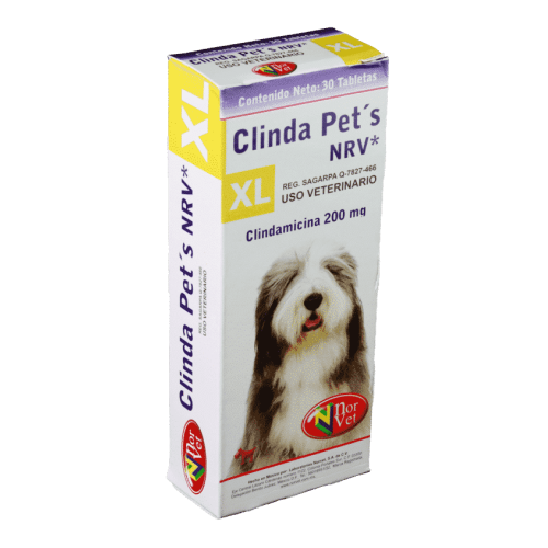 CLINDA PETS XL