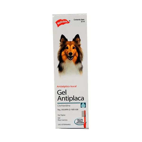CLORHEXIDINA GEL ANTIPLACA