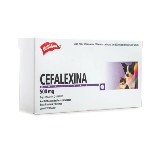 CEFALEXINA 500
