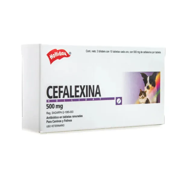 CEFALEXINA 500