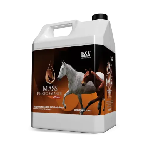 MASS PERFORMANCE YEGUAS