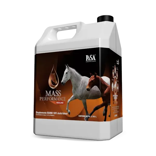 MASS PERFORMANCE YEGUAS