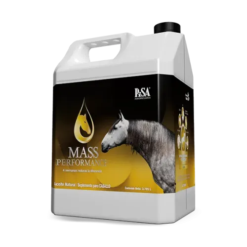 MASS PERFORMANCE EQUINO