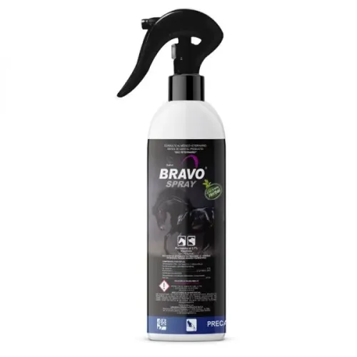 BIG BRAVO SPRAY