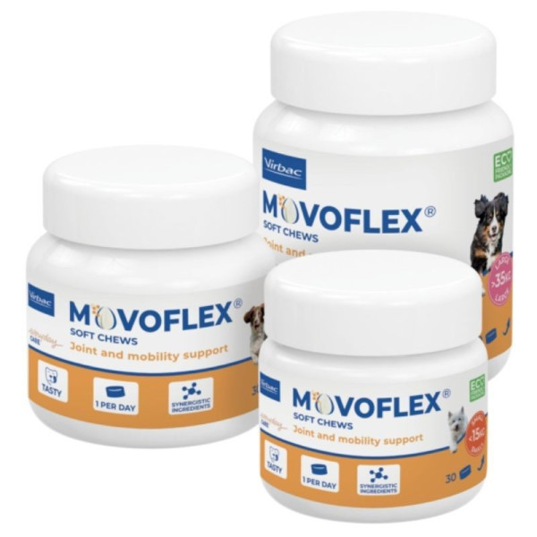 MOVOFLEX