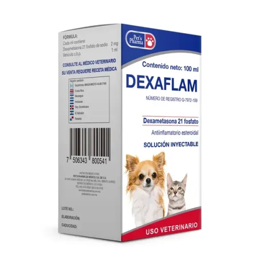 DEXAFLAM 100ML
