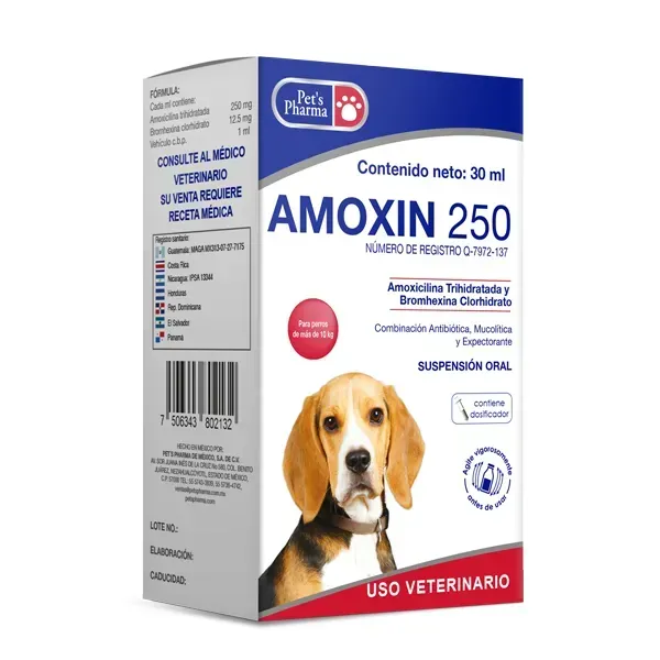 AMOXIN 250 30ML