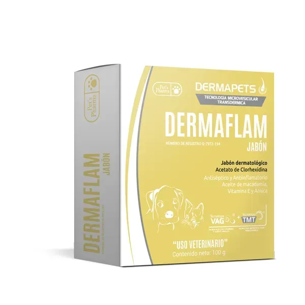 DERMAFLAM JABON 100G