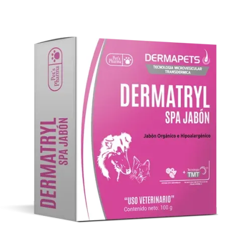 DERMATRYL SPA JABON 100G