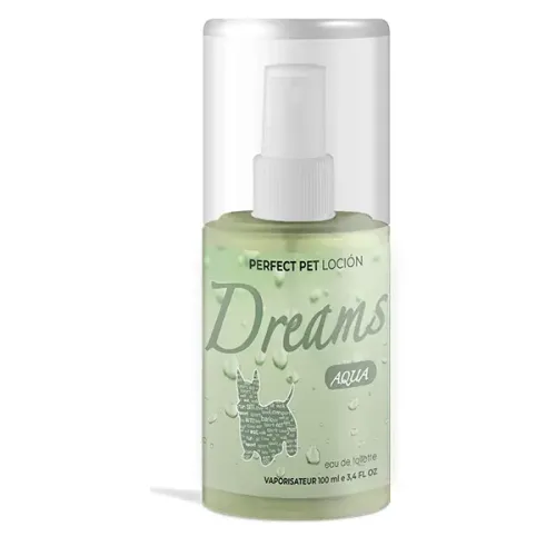 DREAMS AQUA 100ML