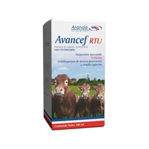 AVANCEF RTU 100ML