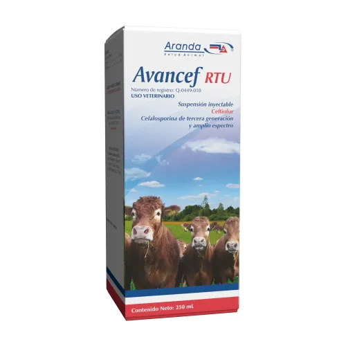 AVANCEF RTU 100ML 2