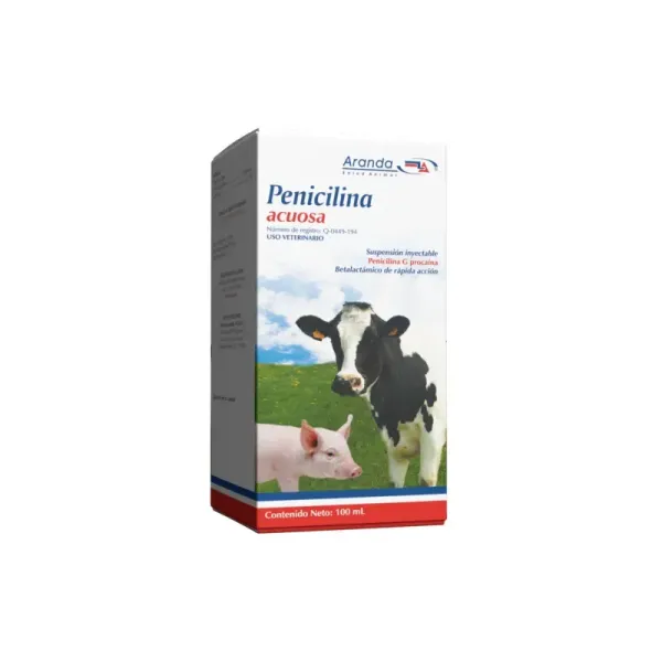 PENICILINA ACUOSA 100ML