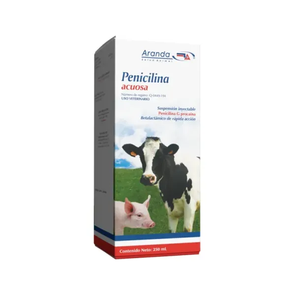 PENICILINA ACUOSA 250ML