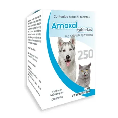 Amoxal Tabletas 250 mg Antibiótico para Perros y Gatos | Estación Mascota