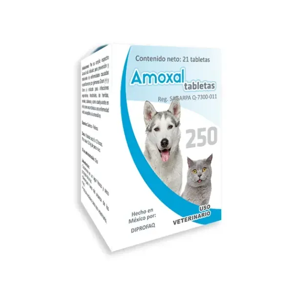 Amoxal Tabletas 250 mg Antibiótico para Perros y Gatos | Estación Mascota