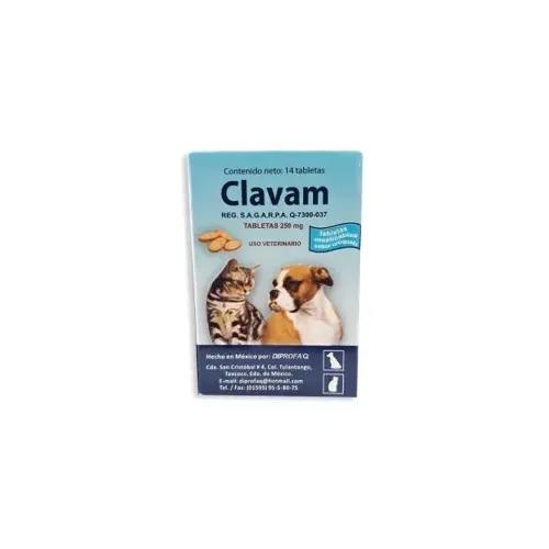 CLAVAM TABLETAS 250 MG