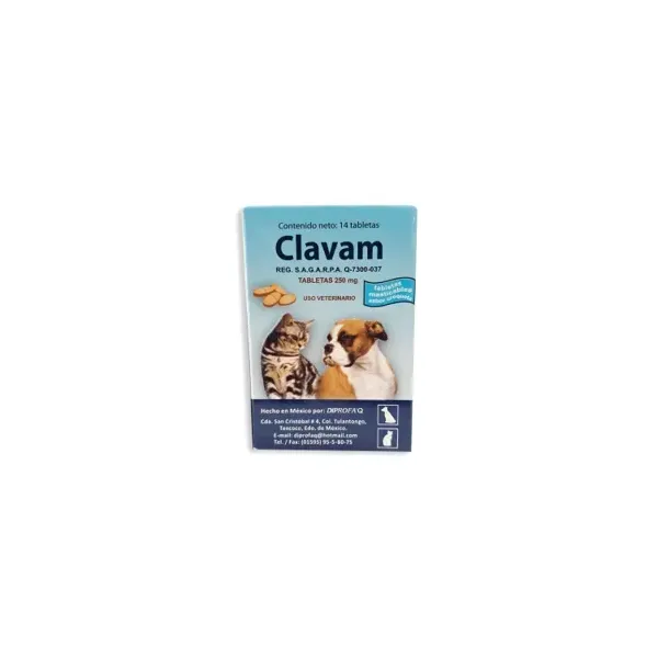 CLAVAM TABLETAS 250 MG