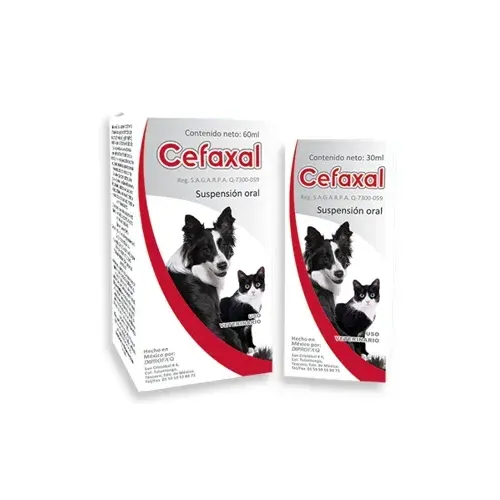 CEFAXAL SUSPENSIÓN ORAL