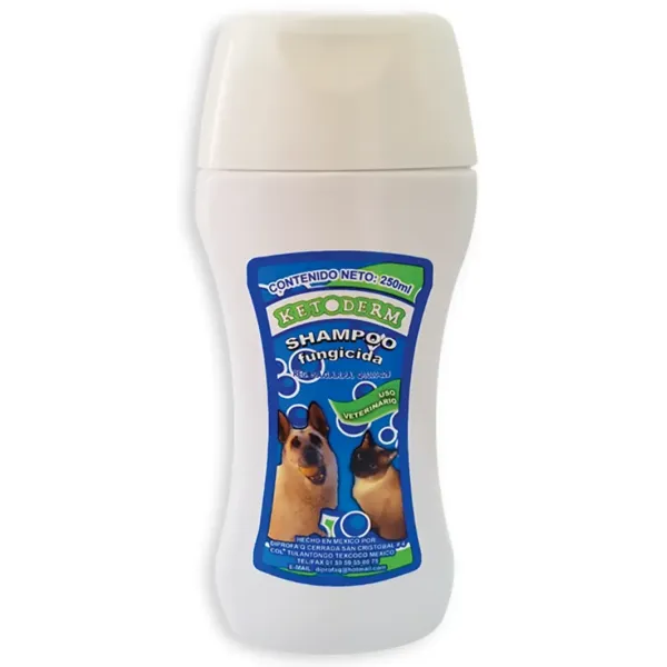 KETODERM SHAMPOO