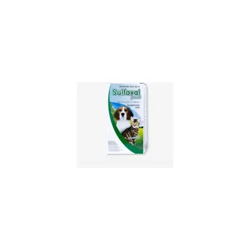 SULFAXAL PLUSS SUSPENSIÓN ORAL 60ML