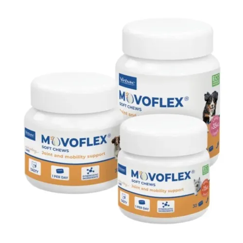 MOVOFLEX