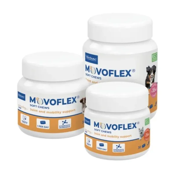 MOVOFLEX