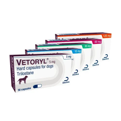 VETORYL DECHRA