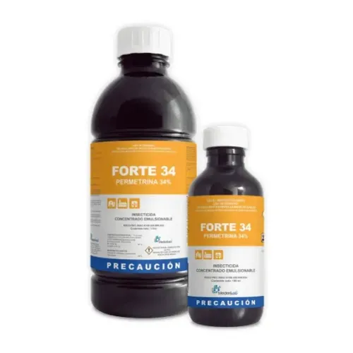FORTE 34