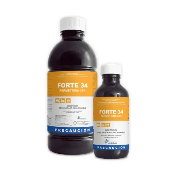 FORTE 34