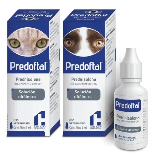 PREDOFTAL 5ML